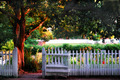 A View of The Garden