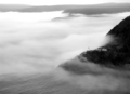 The Fog