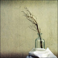 Fragile