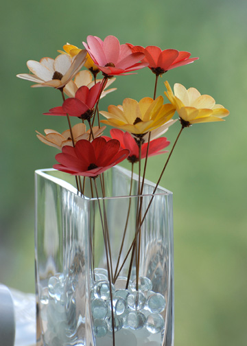 Bloom Colour