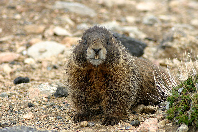You looking at ME?