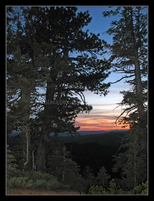 Some Enchanted Evening