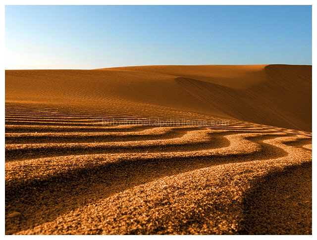 Dune