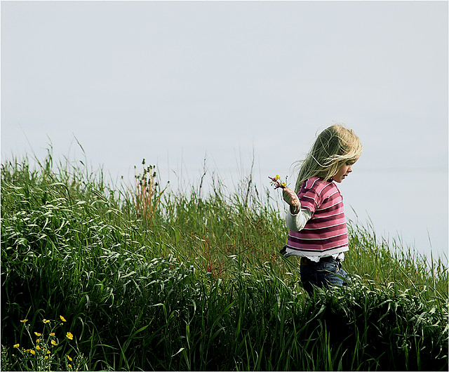 Picking Wild Flowers