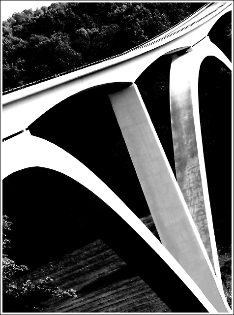 Bridge at Birdsong Hollow