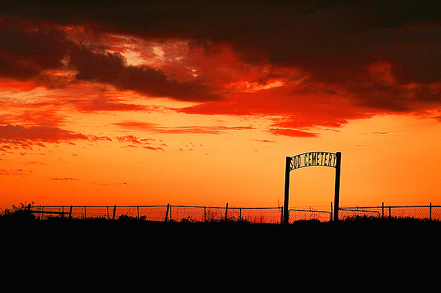 Sod Sunset