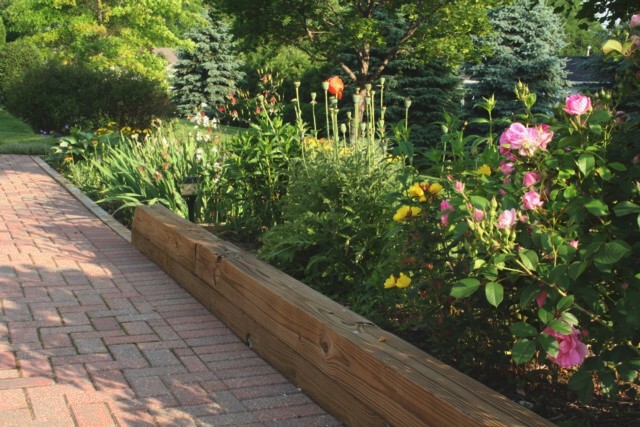 Flower Garden Life Cycle