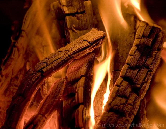 From Wood to Warmth