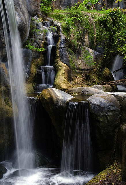 Pure Mountain Spring Water