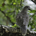 Goodbye - Leaving the nest