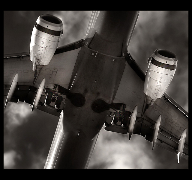 The Underbelly of The Whale