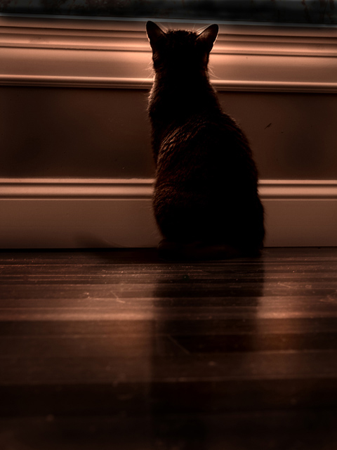 Watching, Waiting