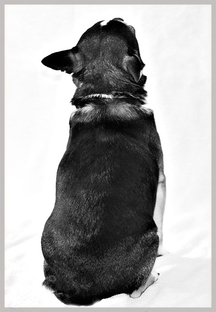 "&iexcl;&Aacute;ndale! &iexcl;&Aacute;ndale! &iexcl;Arriba! &iexcl;Arriba!" 