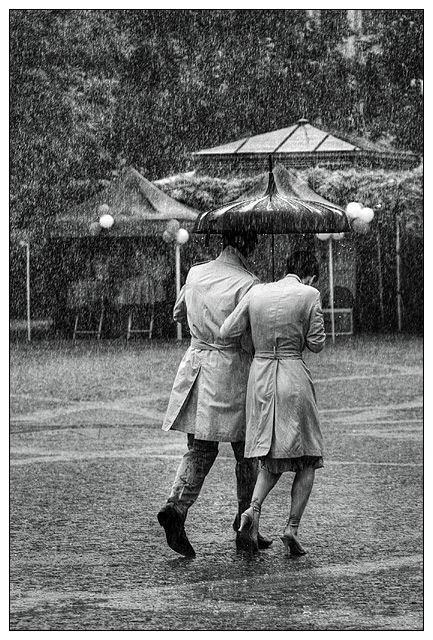 The Shared Umbrella