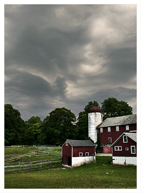 Behind Crooked Acres Farm