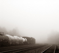 Out of the Fog