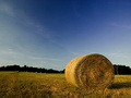 End of the Day Hay