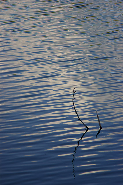 Ripples