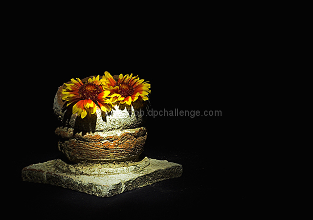 Sharing the Light