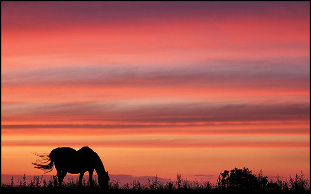 A Quiet Evening