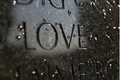 Love is the answer