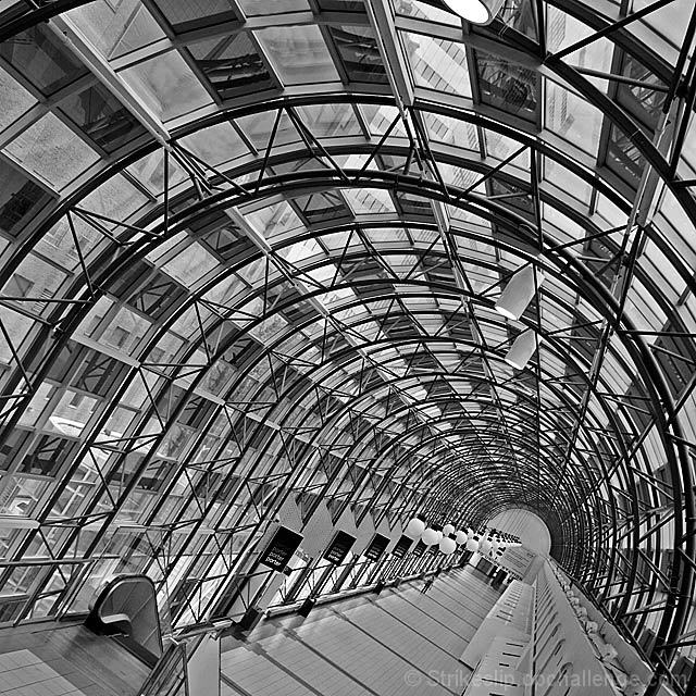 Skywalk II
