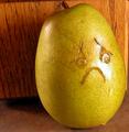 'dis pear'..is very very sad