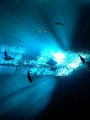 Sunbeams