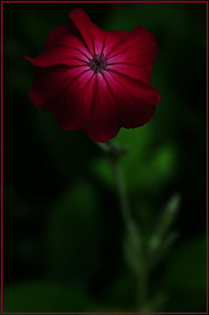 Alone