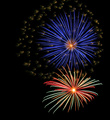 Went to a fireworks show