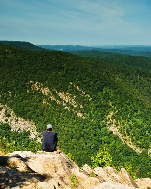 Spent Time Contemplating Nature