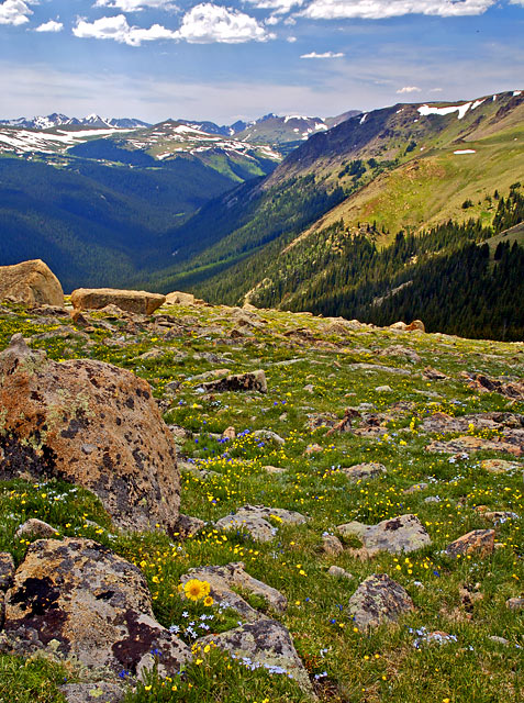 Old Man of the Mountains, hiking in the alpine tundra.