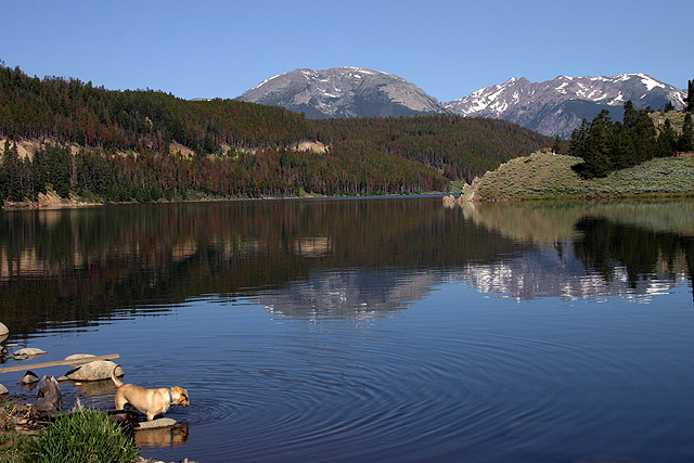 Took my dog to a mountian lake.