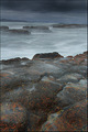 Wild Waters