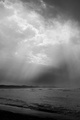 Rapture