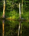 Potato Lake, Wisconsin