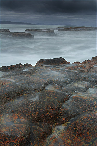 Wild Waters
