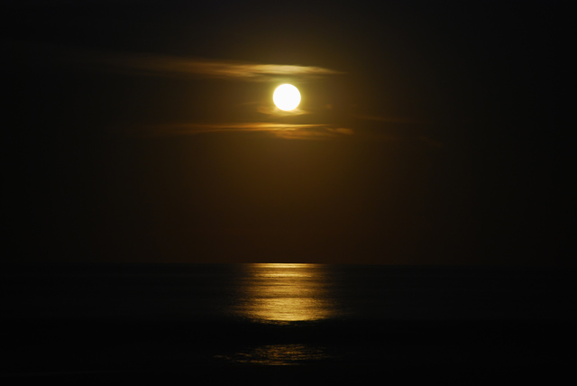 Moon Over Ocean City