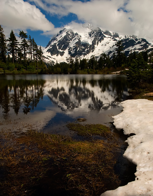 Thaw