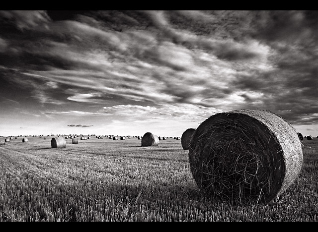 My neighborhood, my land