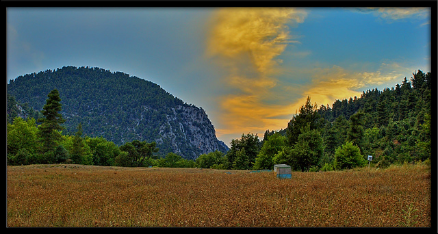 Colors of nature