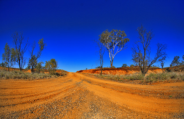 Raw Australia 