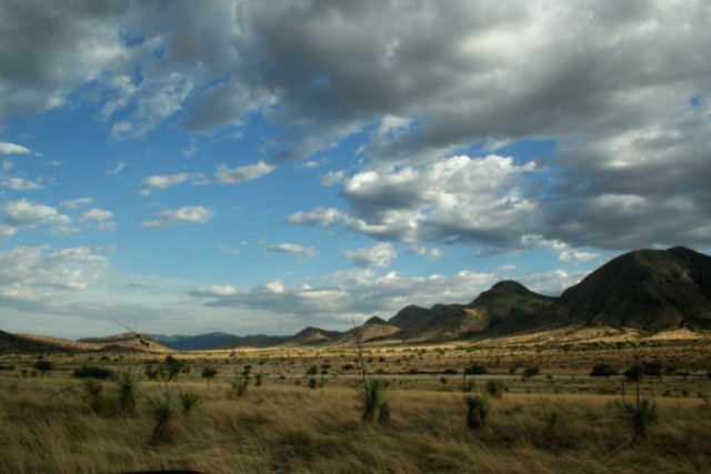 Texas Landscape