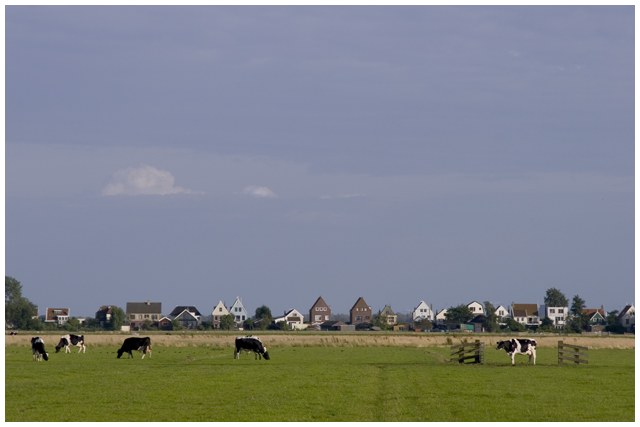 Dutch Mountains