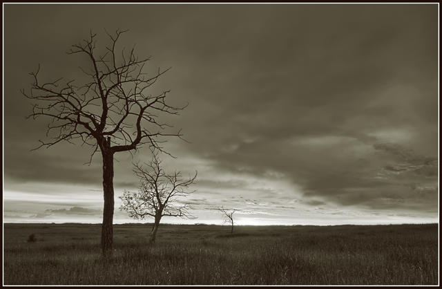 Clouds over the Prairies