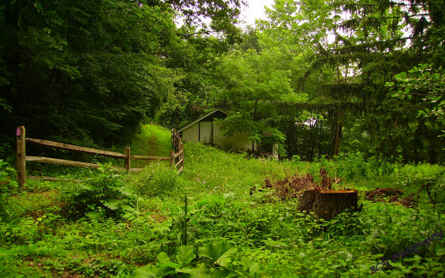 Brandywine Valley Trail