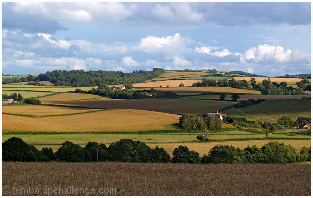 Countryside