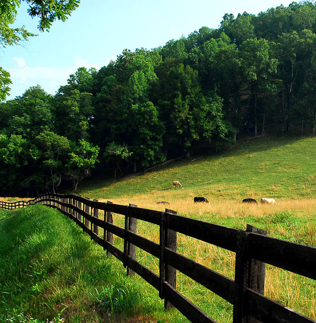 Out to Pasture