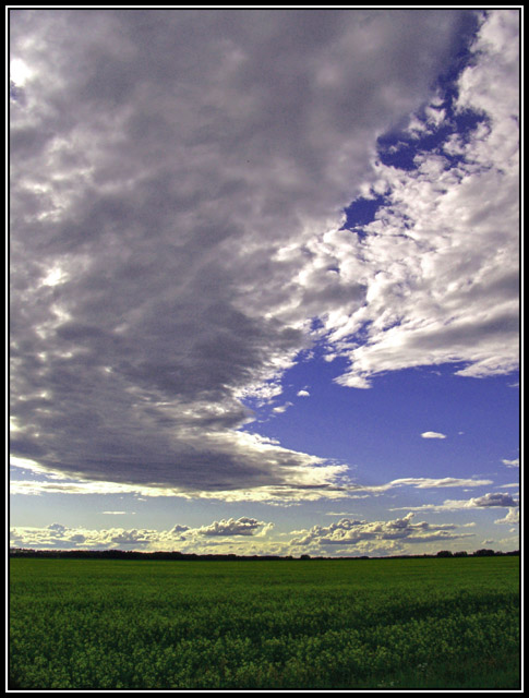 Earth and Sky