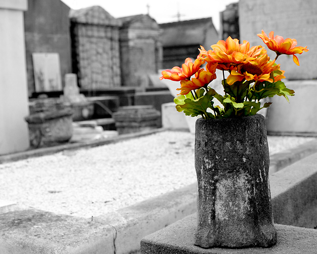 Life in a City of the Dead
